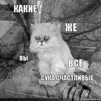 какие все же  вы  сука счастливые   