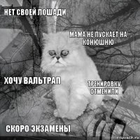 нет своей лошади тренировку отменили мама не пускает на конюшню скоро экзамены хочу вальтрап     