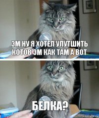 эм ну я хотел улутшить Котов эм как там а вот белка?