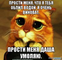 прости меня. что я тебя облил водой. я очень виноват. прости меня даша умоляю.