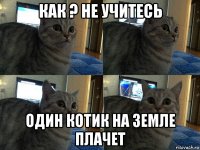 как ? не учитесь один котик на земле плачет