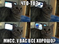 что-то? мисс, у вас все хорошо?