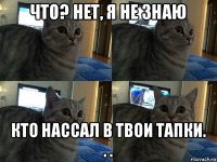 что? нет, я не знаю кто нассал в твои тапки. . .