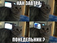 как завтра понедельник ?