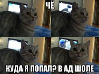 чё куда я попал? в ад шоле