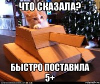 что сказала? быстро поставила 5+