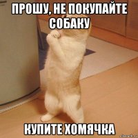 прошу, не покупайте собаку купите хомячка