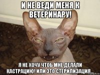 и не веди меня к ветеринару! я не хочу чтоб мне делали кастрацию! или это стерилизация...