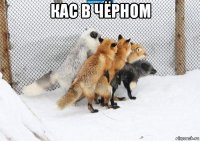 кас в чёрном 