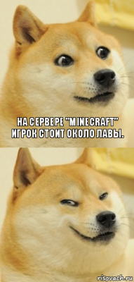 На сервере "Minecraft" игрок стоит около лавы. 