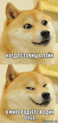 Когда ставишь лайк В мире радуется один DOGE