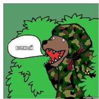 военый