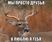 мы просто друзья а люблю я тебя