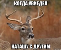 когда увиедел наташу с другим