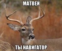 матвей ты навигатор