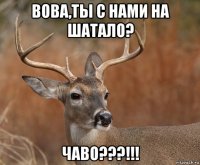 вова,ты с нами на шатало? чаво???!!!