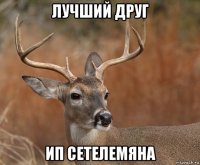 лучший друг ип сетелемяна