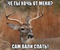 чё ты хочь от меня? сам вали спать!