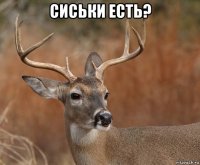 сиськи есть? 