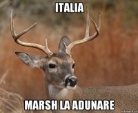 italia marsh la adunare