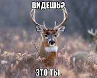 видешь? это ты.