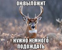 он выложит нужно немного подождать