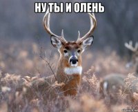 ну ты и олень 