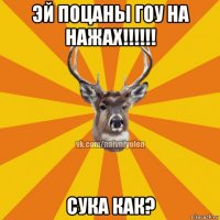 эй поцаны гоу на нажах!!!!!! сука как?