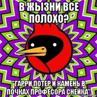 в жызни все полохо? "гарри потер и камень в почках професора снейка"