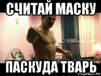 считай маску паскуда тварь