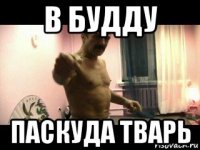 в будду паскуда тварь