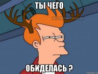 ты чего обиделась ?