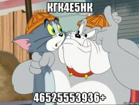 кгк4е5нк 46525553936+