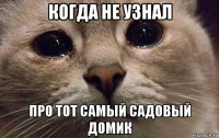 когда не узнал про тот самый садовый домик