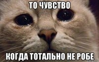 то чувство когда тотально не робе