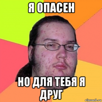 я опасен но для тебя я друг