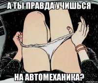 а ты правда учишься на автомеханика?