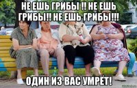 не ешь грибы !! не ешь грибы!! не ешь грибы!!! один из вас умрёт!