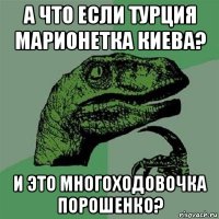 а что если турция марионетка киева? и это многоходовочка порошенко?