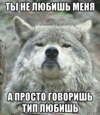 ты не любишь меня а просто говоришь тип любишь