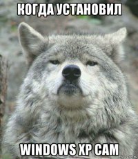 когда установил windows xp сам