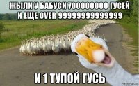 жыли у бабуси 700000000 гусей и еще over 99999999999999 и 1 тупой гусь