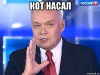 кот насал 