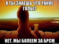 а ты знаешь что такое голы? нет, мы болеем за брсм