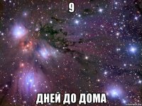 9 дней до дома