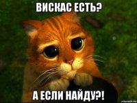 вискас есть? а если найду?!