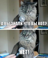 А вы знали что вы кот? Нет!