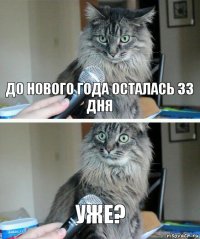 до нового года осталась 33 дня уже?