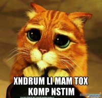  xndrum li mam tox komp nstim