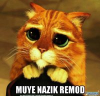  muye nazik remod